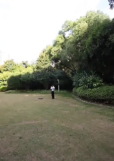   如果你来过这里，一定会爱上这片绿地的！