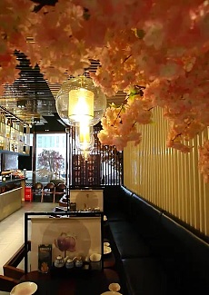   有浪漫樱花的日料餐厅