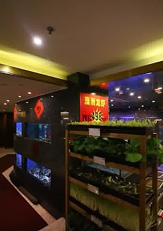   自带“菜地”！